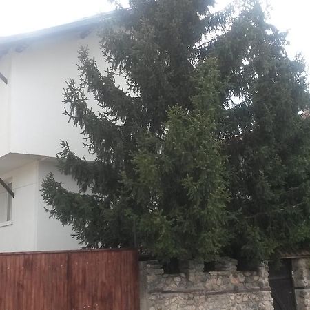 Guest House Khizhina - Easy Home Sapareva Banja Exteriér fotografie